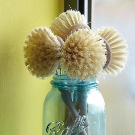 Dish Brush Replacement Head