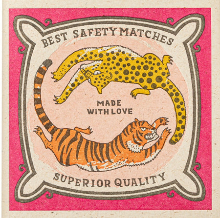 Boxed Matches Chasing Big Cats Charlotte Farmer