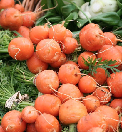 Carrot Seeds Paris Market Atlas