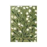 Birthday Card Daisy Happy Birthday To You