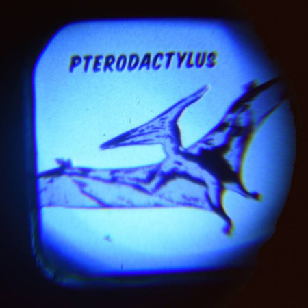 Torch Projector Prehistoric Land Batteries Included