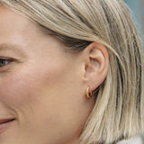 Gold Hoop Earrings Everyday