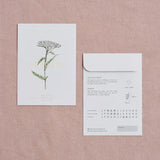 Seed Packet Achillea