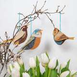 Ornaments Paper British Birds