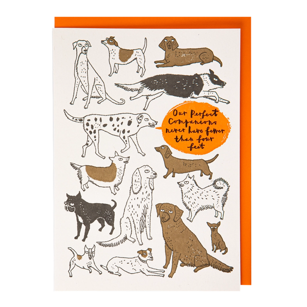 Card Perfect Companions