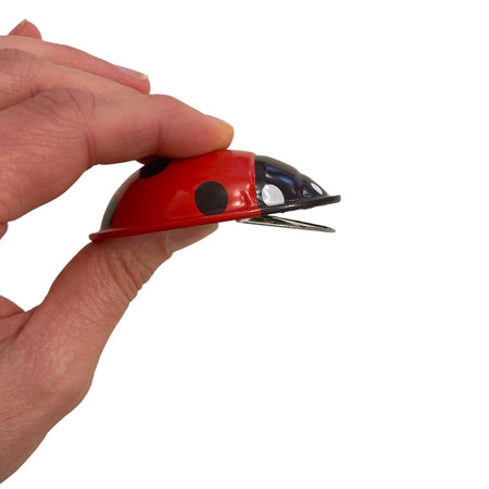 Click Clack Ladybird Toy