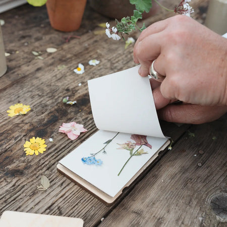 Pocket Flower Press Cosmos
