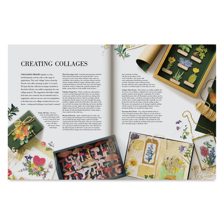 Botanical Art To Cut Out And Collage
