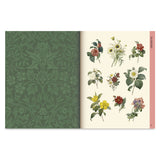 Botanical Art To Cut Out And Collage