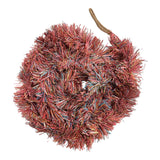 Tinsel Recycled Paper With Glitter Multi Coloured