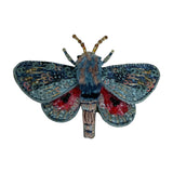 Brooch Pin Hubbard's Small Silk Moth