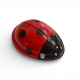 Click Clack Ladybird Toy