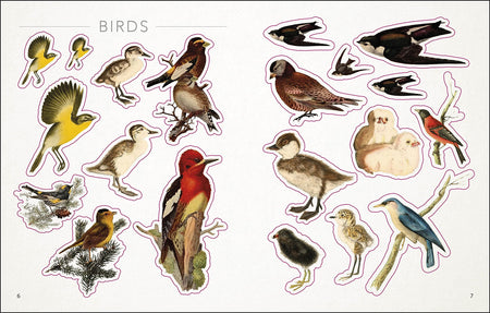 Bees Birds And Butterflies Sticker Book