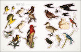 Bees Birds And Butterflies Sticker Book