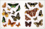 Bees Birds And Butterflies Sticker Book