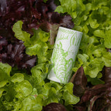 Rabbit In Lettuce Cylinder Matches Large