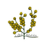 Brooch Pin Mimosa