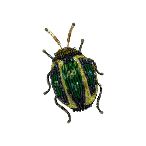 Brooch Pin Tortoise Beetle
