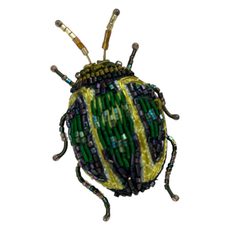 Brooch Pin Tortoise Beetle