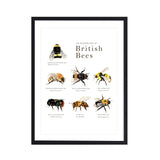British Bee Print