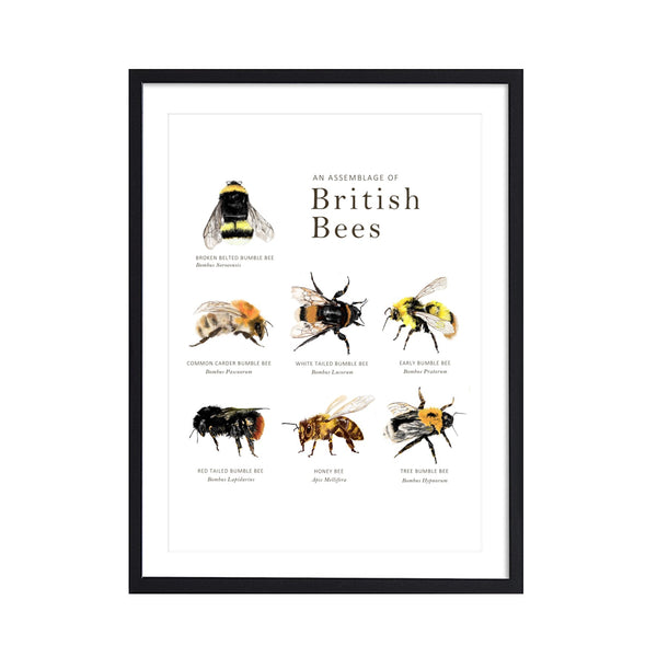 British Bee Print