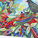 A3 Limited Edition Print Blackbird And Blackberries