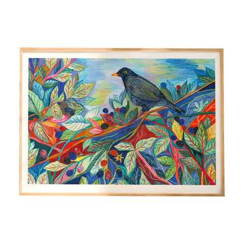 A3 Limited Edition Print Blackbird And Blackberries