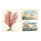 John Derian Sticker Book ll