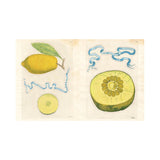 John Derian Sticker Book ll