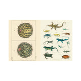 John Derian Sticker Book ll