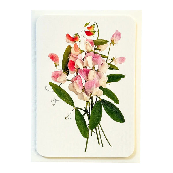 Greeting Card Pink Sweet Peas