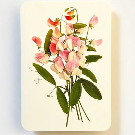 Greeting Card Pink Sweet Peas
