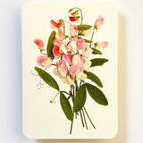 Greeting Card Pink Sweet Peas