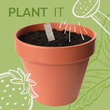 Seeds Bee Seedsticks