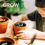 Seeds Bee Seedsticks