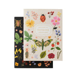 Curio Pocket Notebooks Set Of 2