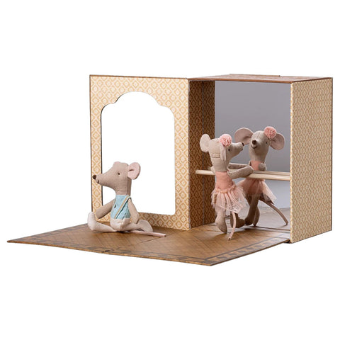 Ballet Mice in Dance Studio Little Brother and Sister