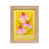 A framed botanical art print featuring three pink echinacea flowers with yellow-orange centers on a bright yellow background, enclosed in a light natural wood frame. The print includes the text 'AUTUMN', '25¢', and 'ECHINACEĂ'.