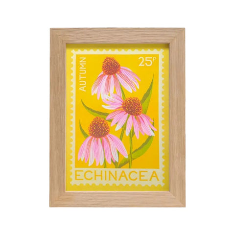 A framed botanical art print featuring three pink echinacea flowers with yellow-orange centers on a bright yellow background, enclosed in a light natural wood frame. The print includes the text 'AUTUMN', '25¢', and 'ECHINACEĂ'.