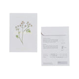 Seed Packet Feverfew