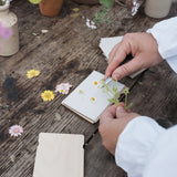 Pocket Flower Press Cosmos