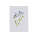 Seed Packet Forget Me Not