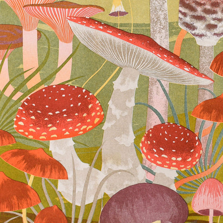 Fungi Print A3