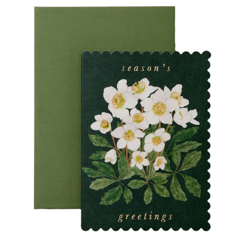 Christmas Card Hellebore Season's Greetings