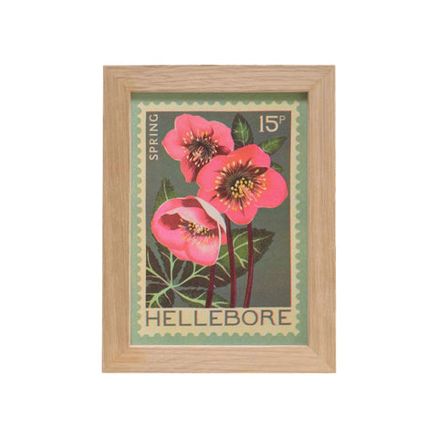 Hellebore Print A5