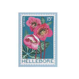 Card Mini Hellebore