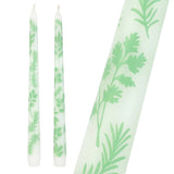 Two white taper candles with a light green herb pattern, shown on a plain white background with one candle in close-up.