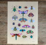 Print A4 Insects