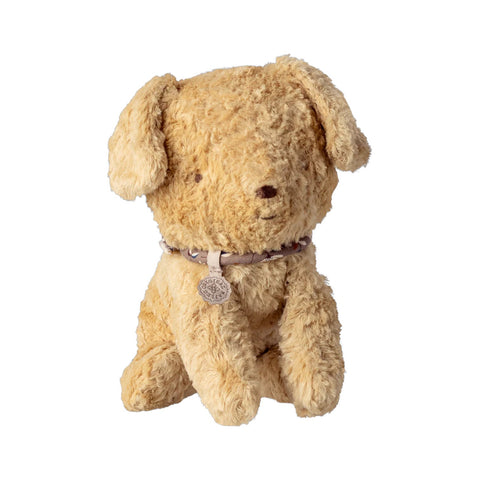 Puppy Small Soft Sand