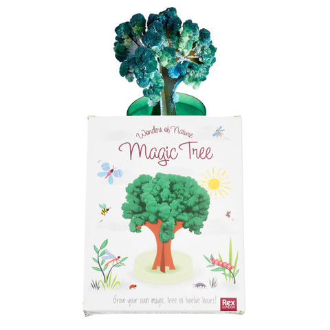 Magic Tree Grow Your Own Tree